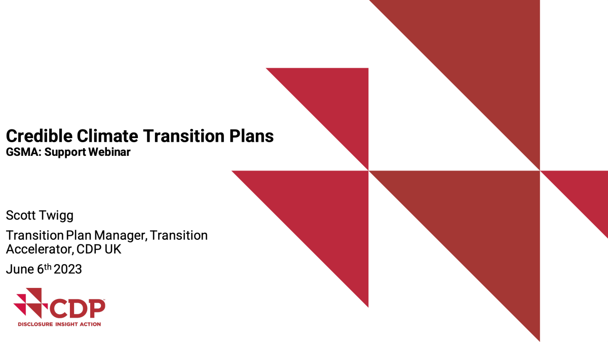 Credible-Climate-Transition-Plans